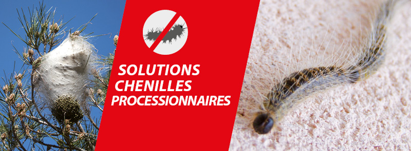 solutions chenilles processionnaires