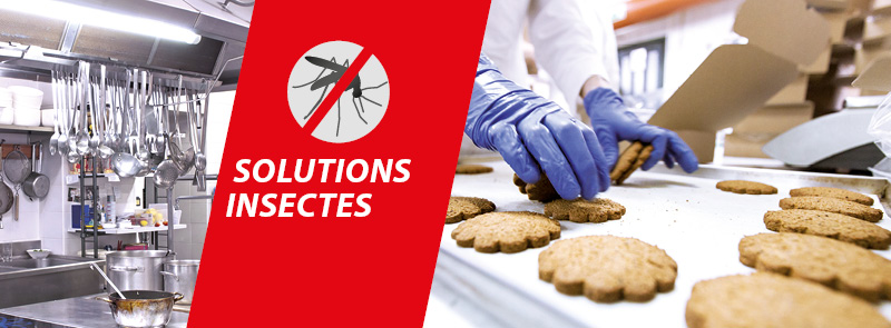 solutions insectes