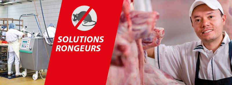 solutions rongeurs