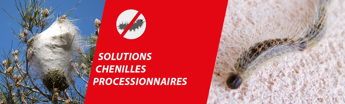 lutte contre les chenilles processionnaires