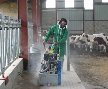 Rainurage des dols des bâtiments d'élevage