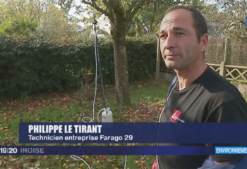 reportage France 3 : déstruction d'un nid de frelons asiatiques