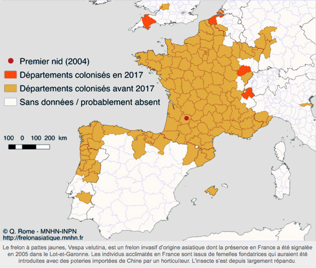 Carte : distribution de Vespa velutina au 2 février 2018